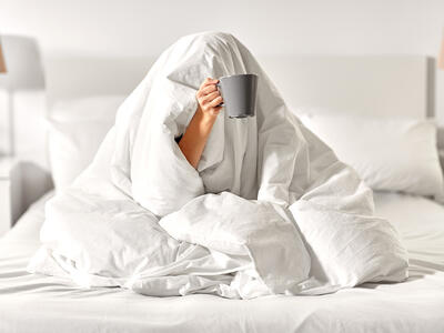 16923-perovy-polstar-natur